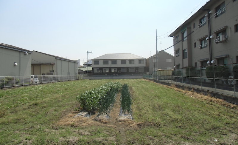 ＪＡいずみの市民農園のご紹介を更新しました