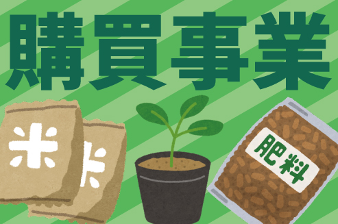 9月9日〜10日・12日、秋冬野菜苗を販売！
